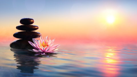manifesting joyful life about page 3