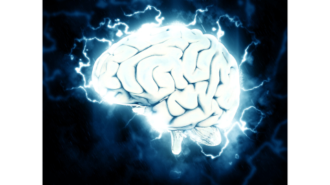 rich brain